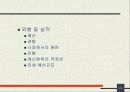 기업의 경영정보시스템 도입시 선결과제 및 도입현황 22페이지