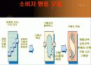 (소비자행동론) 소비자 행동과 마케팅 8페이지