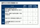 블루오션 전략(Blue Ocean Strategy)   32페이지