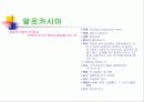 관엽식물  22페이지
