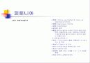 관엽식물  40페이지