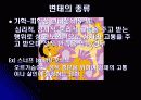 변태, 그들의 실체를 파헤쳐보자 12페이지