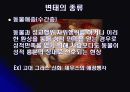 변태, 그들의 실체를 파헤쳐보자 13페이지