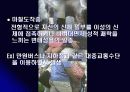 변태, 그들의 실체를 파헤쳐보자 14페이지