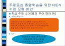 주제중심통합학습을위한NIE식수업모형예시.ppt 3페이지