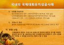 국제대회유치 사례분석을 통한 올바른  유치방안 마련 19페이지
