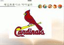 [스포츠마케팅] 한화이글스와 세인트루이스 카디널즈의 마케팅 분석 및 새로운 마케팅 전략 제시 30페이지