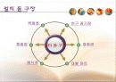[스포츠마케팅] 한화이글스와 세인트루이스 카디널즈의 마케팅 분석 및 새로운 마케팅 전략 제시 55페이지