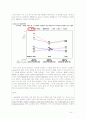 소비자행동 관점에서본 애니콜의 마케팅 전략 14페이지