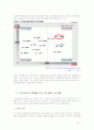 소비자행동 관점에서본 애니콜의 마케팅 전략 16페이지