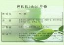 데이터베이스 모델링(비디오샾) 6페이지