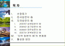 ‘방문의 해’ 활성화 방안 2페이지