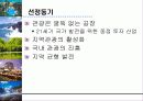 ‘방문의 해’ 활성화 방안 3페이지