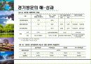‘방문의 해’ 활성화 방안 14페이지