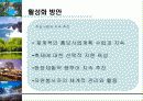 ‘방문의 해’ 활성화 방안 23페이지