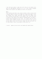 미국의 자녀교육 6페이지
