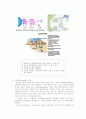 Lysosome과 Peroxisome을 이용한 독성 연구 방법 2페이지