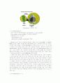 Lysosome과 Peroxisome을 이용한 독성 연구 방법 6페이지