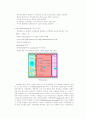Lysosome과 Peroxisome을 이용한 독성 연구 방법 7페이지