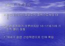 유럽식 자본주의와 미국식 자본주의에 대해 7페이지