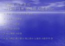 유럽식 자본주의와 미국식 자본주의에 대해 11페이지