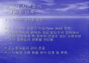 유럽식 자본주의와 미국식 자본주의에 대해 17페이지