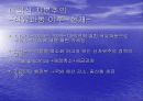 유럽식 자본주의와 미국식 자본주의에 대해 20페이지