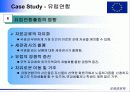 유럽연합에 대해서...발표자료만든것 8페이지
