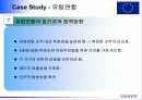 유럽연합에 대해서...발표자료만든것 10페이지
