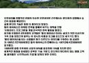 브랜드 충성도 NO1. 할리데이비슨의 마케팅 전략 Harley-Davidson Marketing Strategy 8페이지