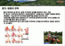 브랜드 충성도 NO1. 할리데이비슨의 마케팅 전략 Harley-Davidson Marketing Strategy 21페이지