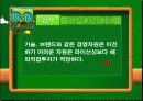 해외직접투자전략(의류산업:이랜드) 29페이지