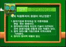 해외직접투자전략(의류산업:이랜드) 33페이지