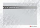 [서비스마케팅]신세계백화점 마케팅 커뮤니케이션전략 (A+리포트) 3페이지