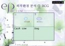 [마케팅조사]기능성화장품 매츨증대를 위한 엔프라니 마케팅전략 (A+리포트) 14페이지