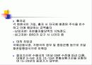 국제부흥개발은행 – IBRD (International Bank for Reconstruction & Development)에 대해서 4페이지