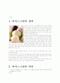 초등과학 '아이스크림에 관한 수업보고서' 3페이지