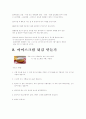 초등과학 '아이스크림에 관한 수업보고서' 8페이지