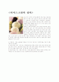 초등과학 '아이스크림에 관한 수업보고서' 12페이지