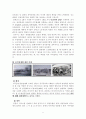 니콜라스와 알렉산드라 2페이지