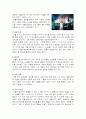 민들레 영토 마케팅 분석 6페이지