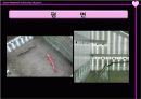 서울대미술관 ppt 자료 9페이지