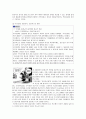 노동시장의 양극화 현상 8페이지