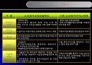 노인복지서비스 전달체계 16페이지