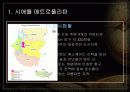 도시성장관리 - 시애틀 메트로폴리탄 3페이지
