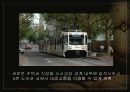 도시성장관리 - 시애틀 메트로폴리탄 14페이지