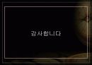 도시성장관리 - 시애틀 메트로폴리탄 17페이지