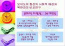 동남아시아 38페이지