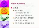 동남아시아 67페이지