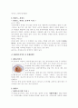 북한의 지역별 음식특색 4페이지